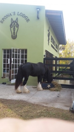 Exaltación de la Cruz. Casa con local.en gran parque