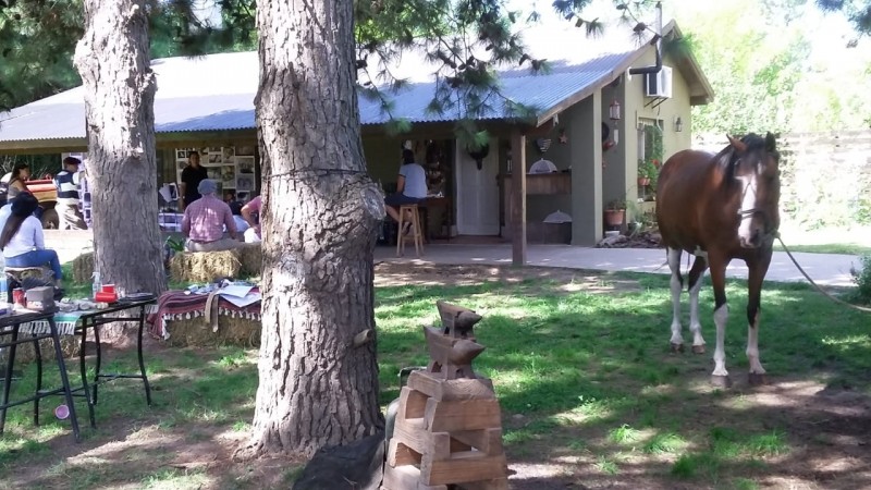 Exaltación de la Cruz. Casa con local.en gran parque